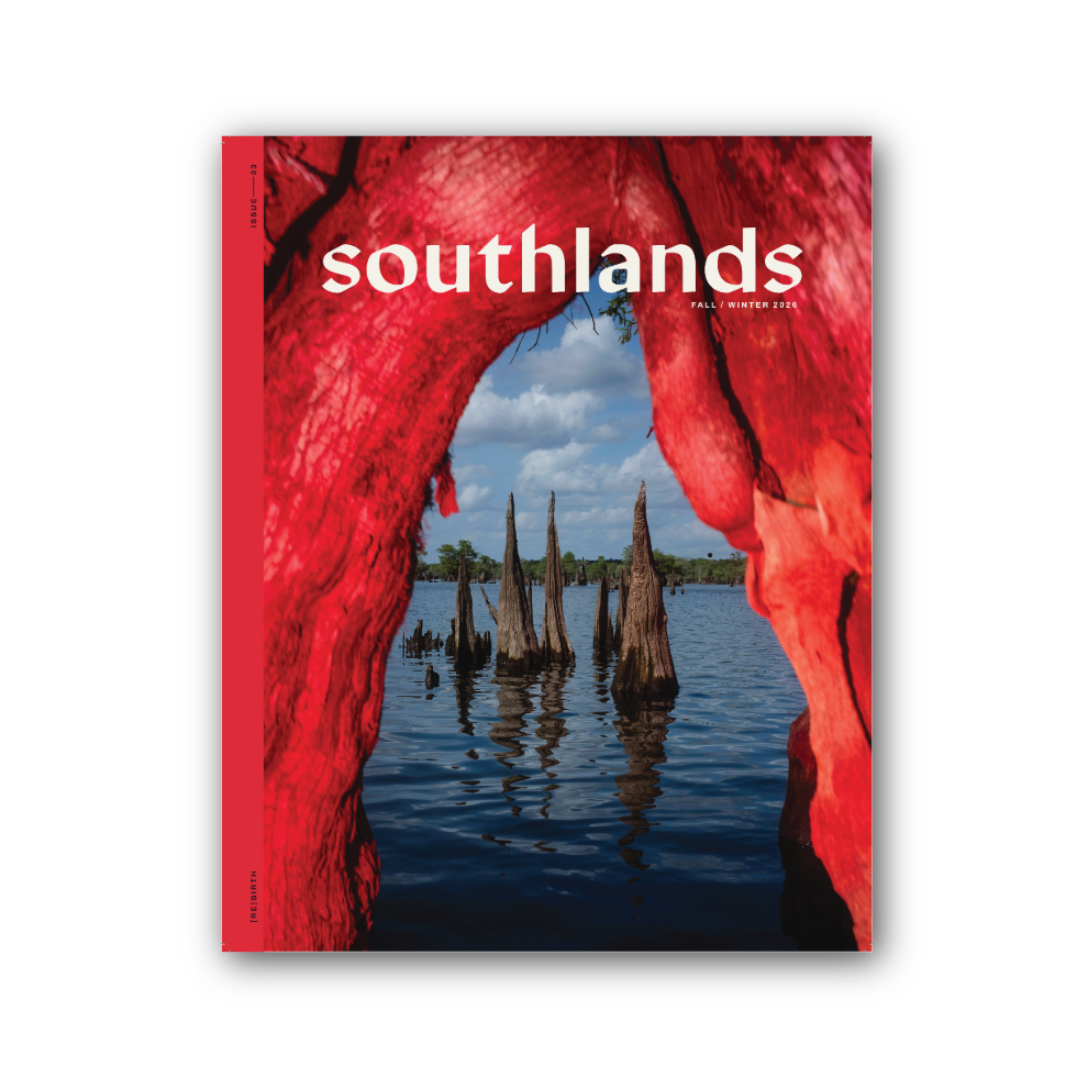 Issue No. 03