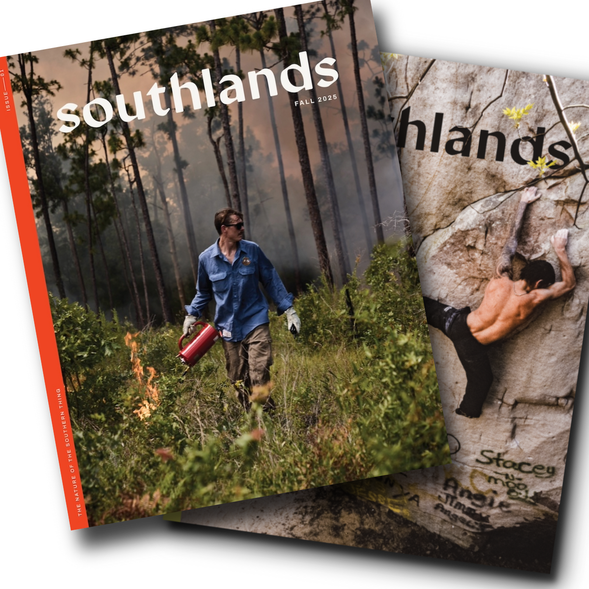 Two-Issue Package (In-Person Sales)